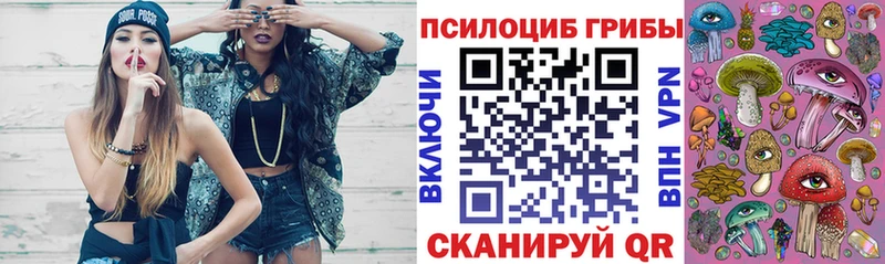 купить наркоту  OMG ссылка  Псилоцибиновые грибы ЛСД  Киржач 